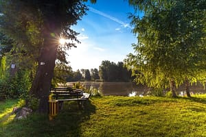 Read more about the article The 3 Best Public Parks in the Richmond Area